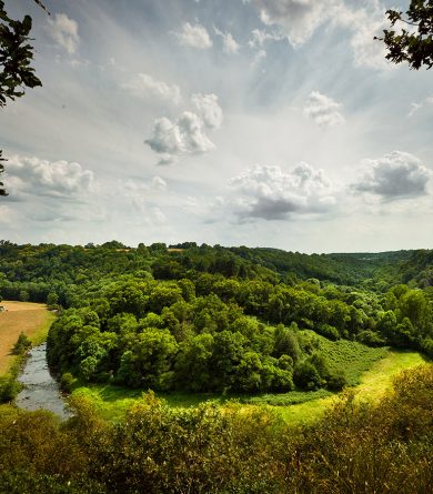 Nature