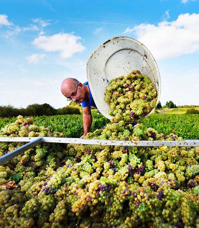 Agritourisme et oenotourisme