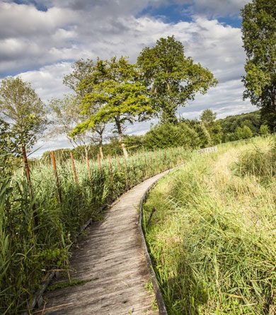 Marques et labels du tourisme