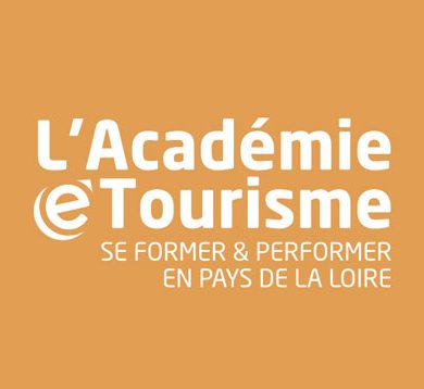 Quelle stratégie adopter avec les grands sites de réservation en ligne ?