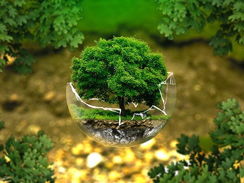 Vous avez une problématique en lien avec la transition écologique et énergétique ?