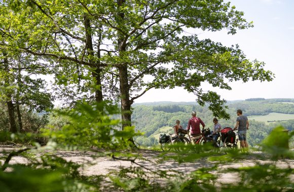 La Vélobuissonnière, parmi les 5 meilleures véloroutes européennes de l’année !