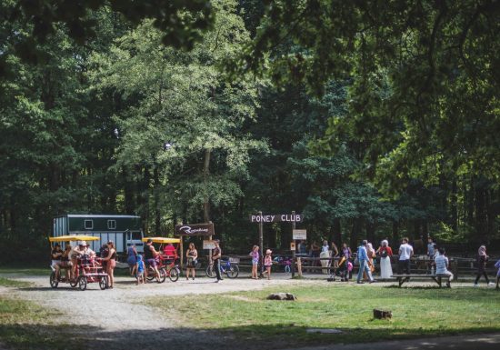 AMI – Exploitation d’une activité équestre (manège à poneys, …) sur le site naturel classé du Lac de Sillé-le-Guillaume