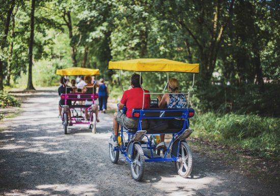 AMI – Activité de rosalies sur site naturel classé