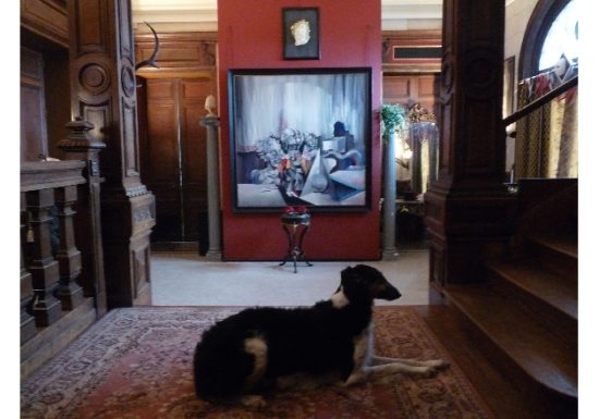 DOMAINE DE CHARDONNEUX À SAINT BIEZ EN BELIN