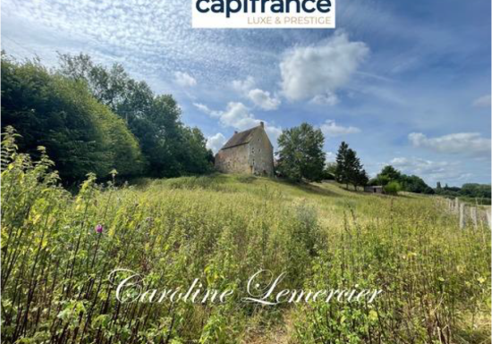 MANOIR LA FERTE-BERNARD