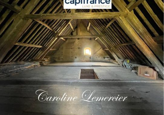 MANOIR LA FERTE-BERNARD