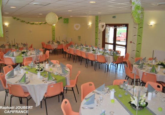 GITE DE GROUPE DE 10 PIECES 500 M² – PERCHE SARTHOIS