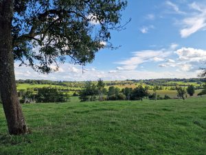 ENSEMBLE DE GITES – GITE DE RECEPTION