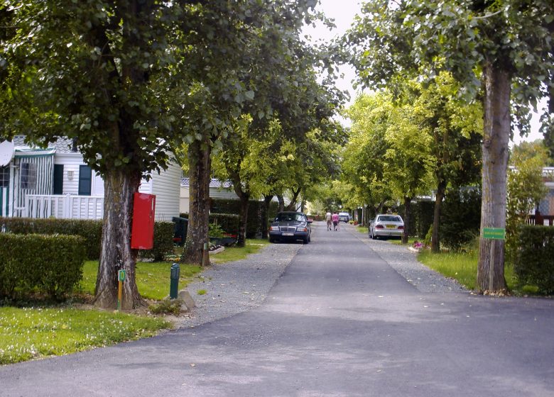 Offre d’emploi – gestion du camping de la Vègre ***