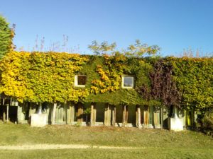 VILLAGE DE GÎTES A PROXIMITÉ DE LA FORÊT DE BERCÉ