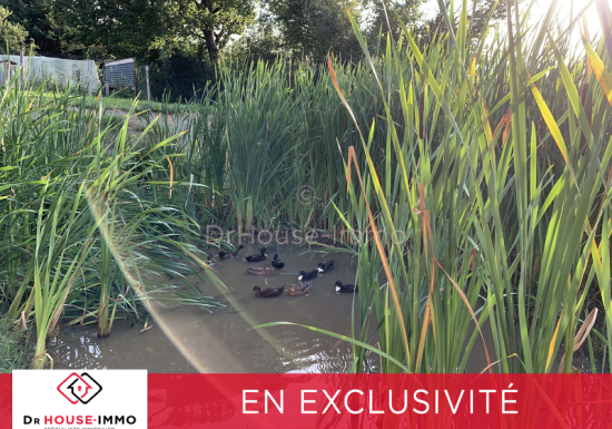 BELLE PROPRIÉTÉ DE 10 HECTARES IDÉAL CHAMBRES D’HÔTES